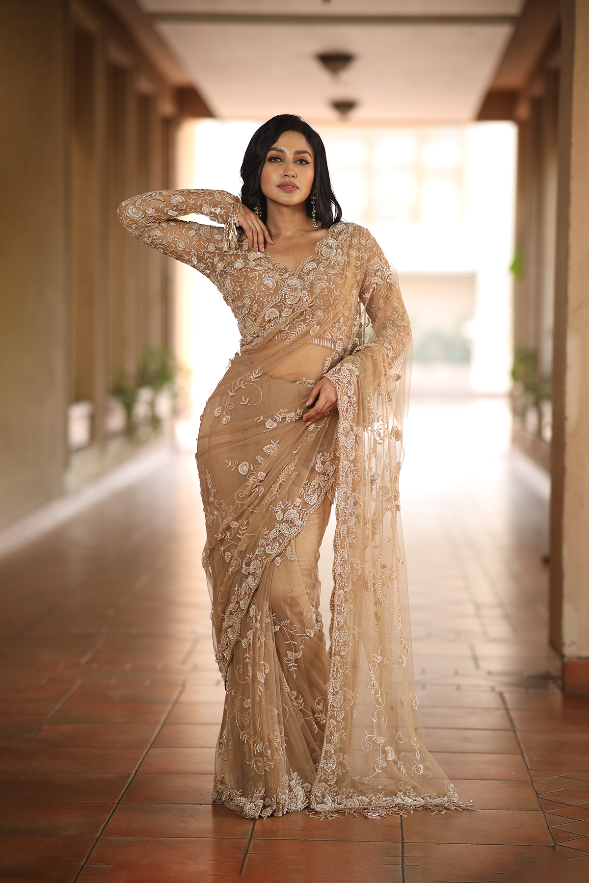 Beige net embroidered Saree with elbow sleeve blouse