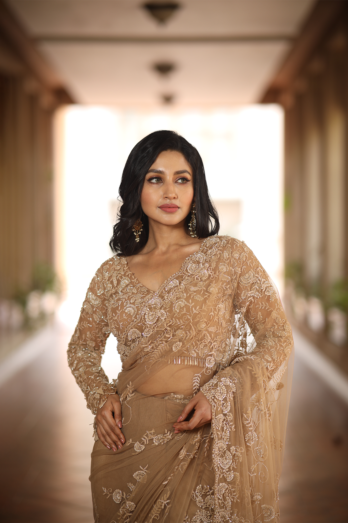 Beige net embroidered Saree with elbow sleeve blouse