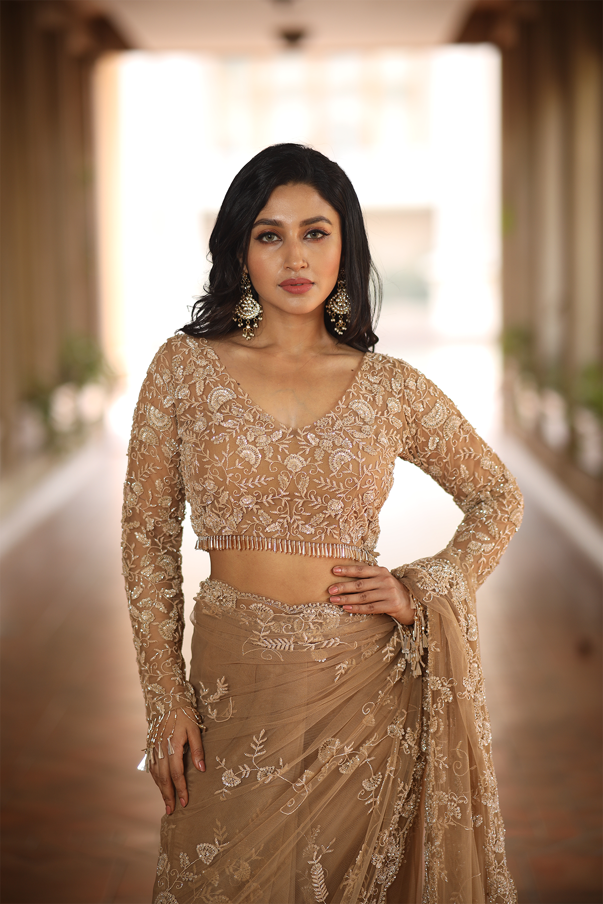 Beige net embroidered Saree with elbow sleeve blouse