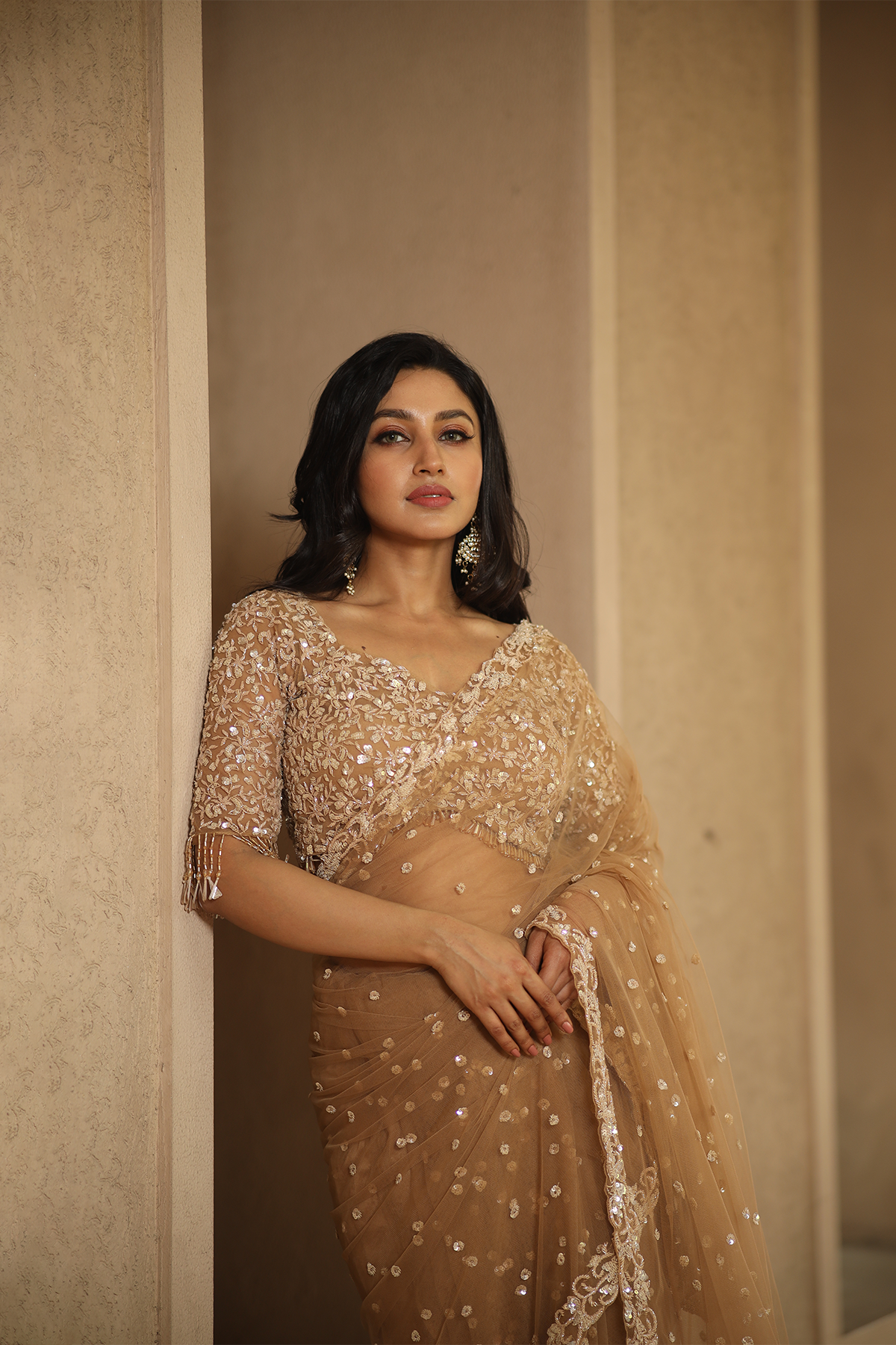 Beige net embroidered Saree with elbow sleeve embroidered blouse