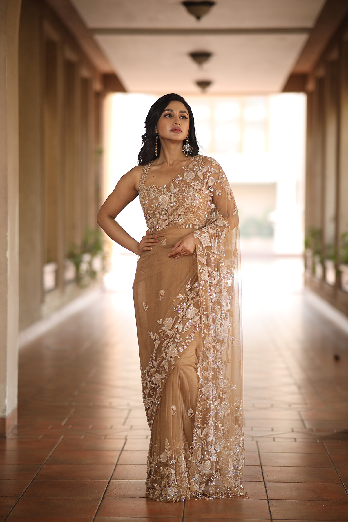 Beige net embroidered Saree with sleeveless embroidered blouse