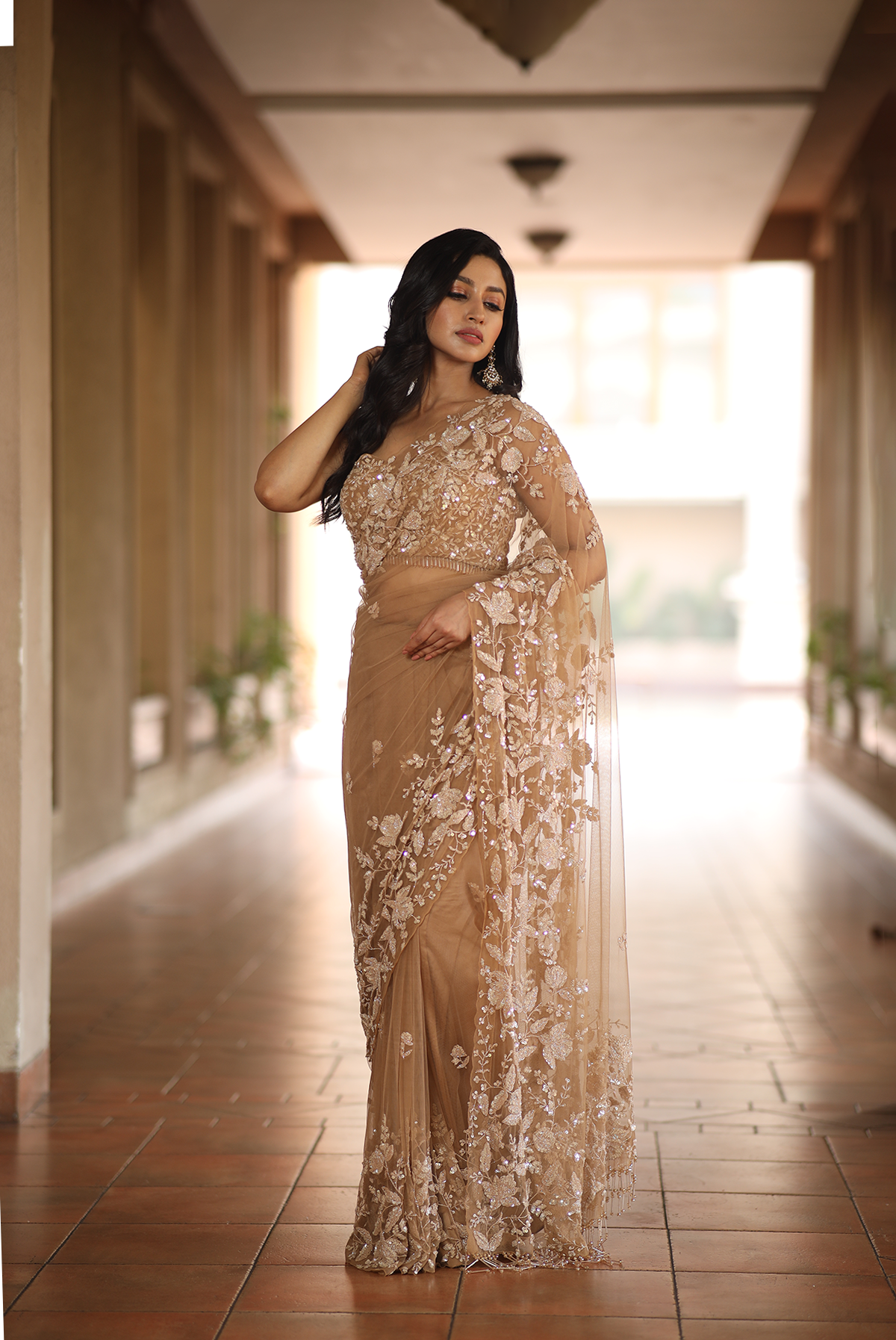 Beige net embroidered Saree with sleeveless embroidered blouse