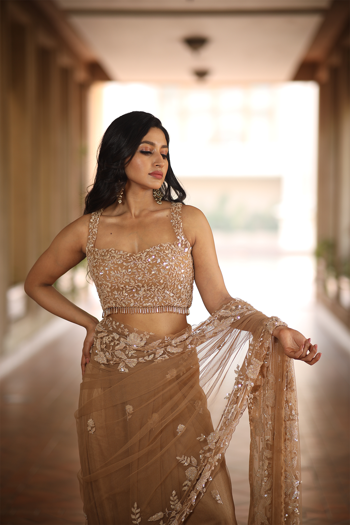 Beige net embroidered Saree with sleeveless embroidered blouse