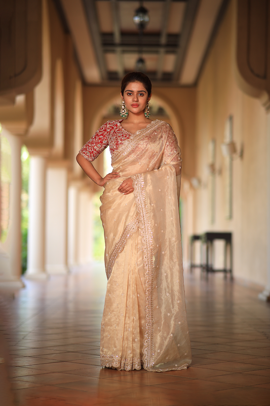 Gold hued tissue embroidered Saree with contrast elbow sleeve blouse
