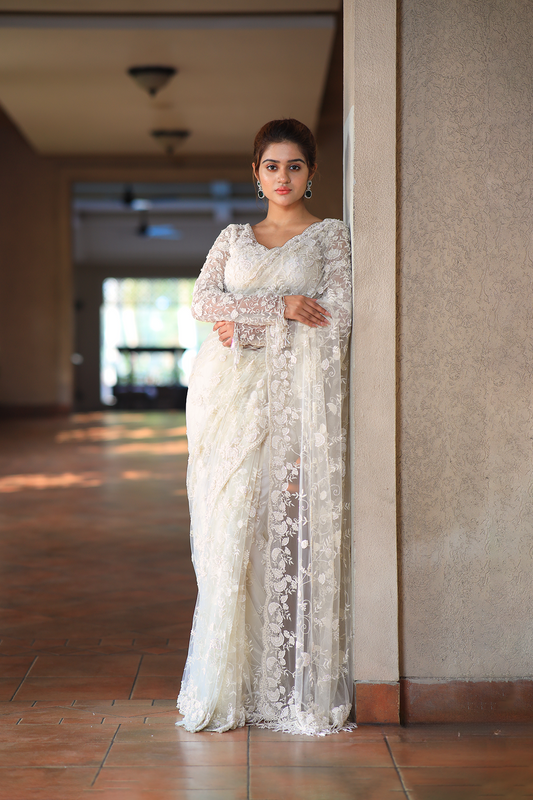 Off-white net embroidered Saree with full sleeve embroidered blouse