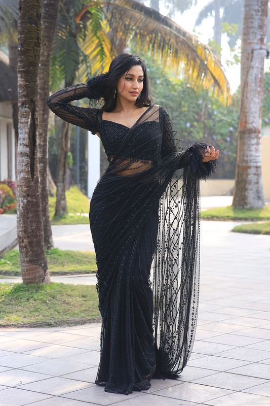 Black net embroidered Saree with full sleeve embroidered blouse