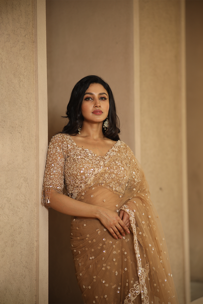 Beige net embroidered Saree with elbow sleeve embroidered blouse