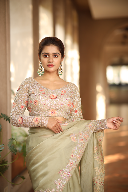 Pista green silk organza embroidered Saree with multi-color full sleeve blouse