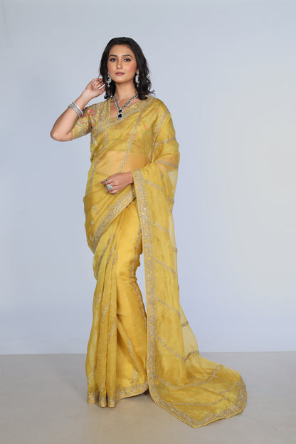 Yellow silk organza embroidered Saree with multi-color elbow sleeve blouse