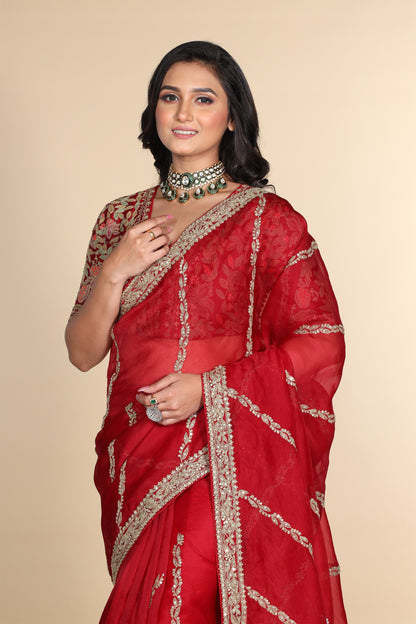 Red silk organza embroidered Saree with multi-color elbow sleeve blouse