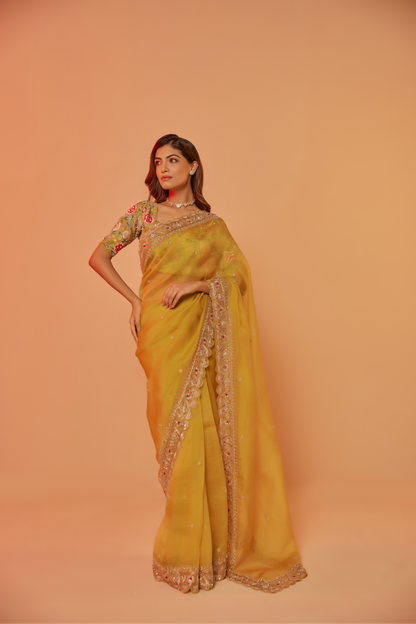 Yellow silk organza embroidered Saree with multi-color elbow sleeve blouse