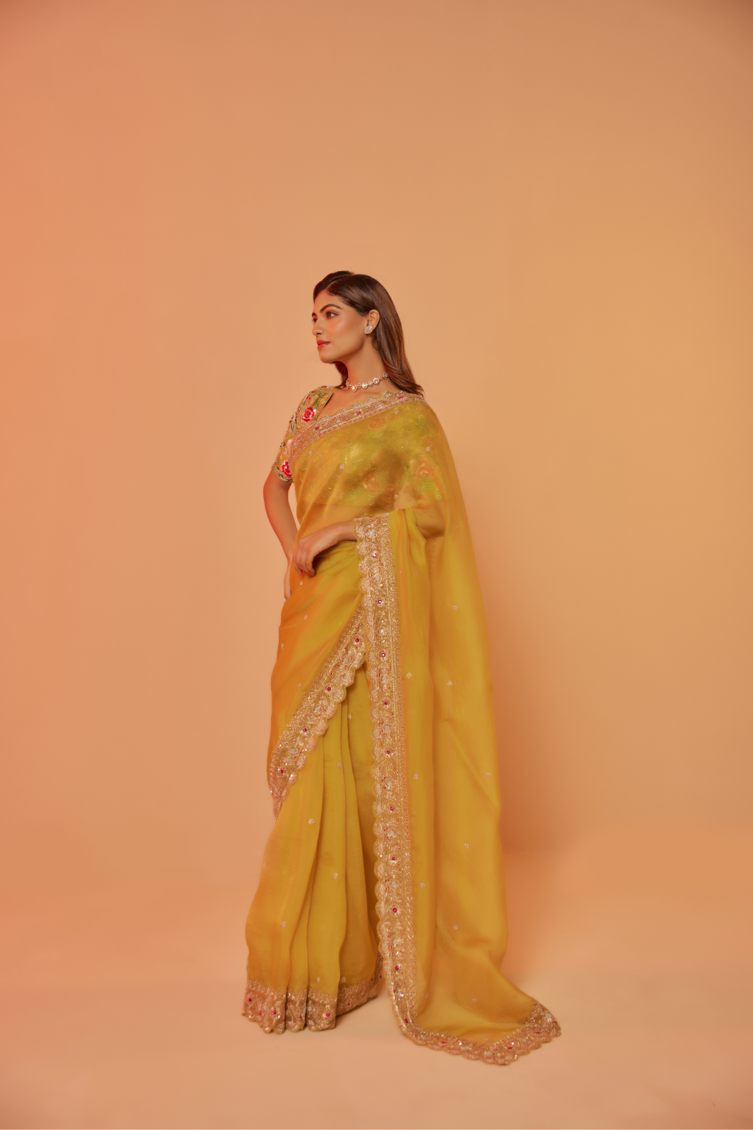 Yellow silk organza embroidered Saree with multi-color elbow sleeve blouse