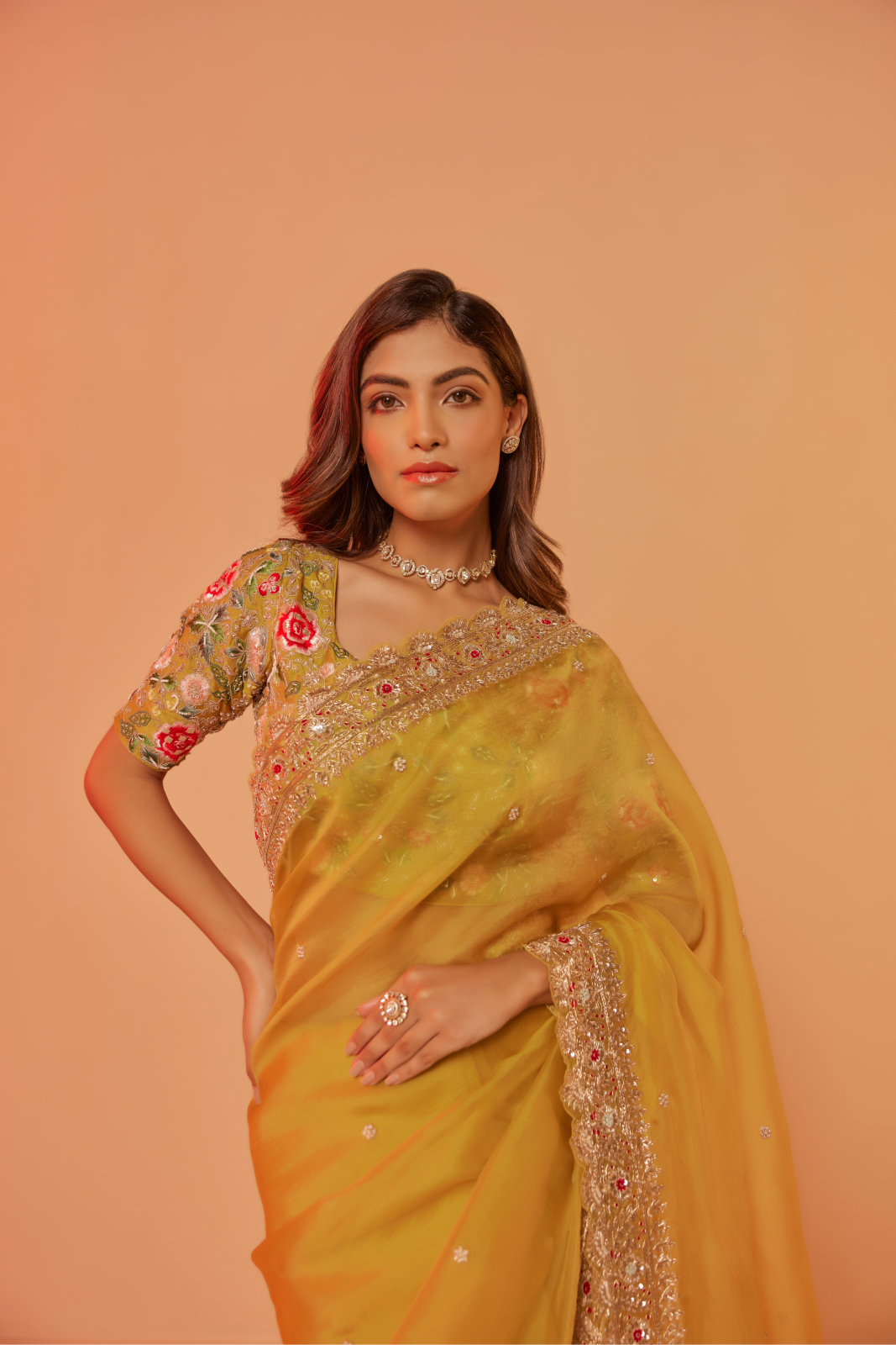 Yellow silk organza embroidered Saree with multi-color elbow sleeve blouse