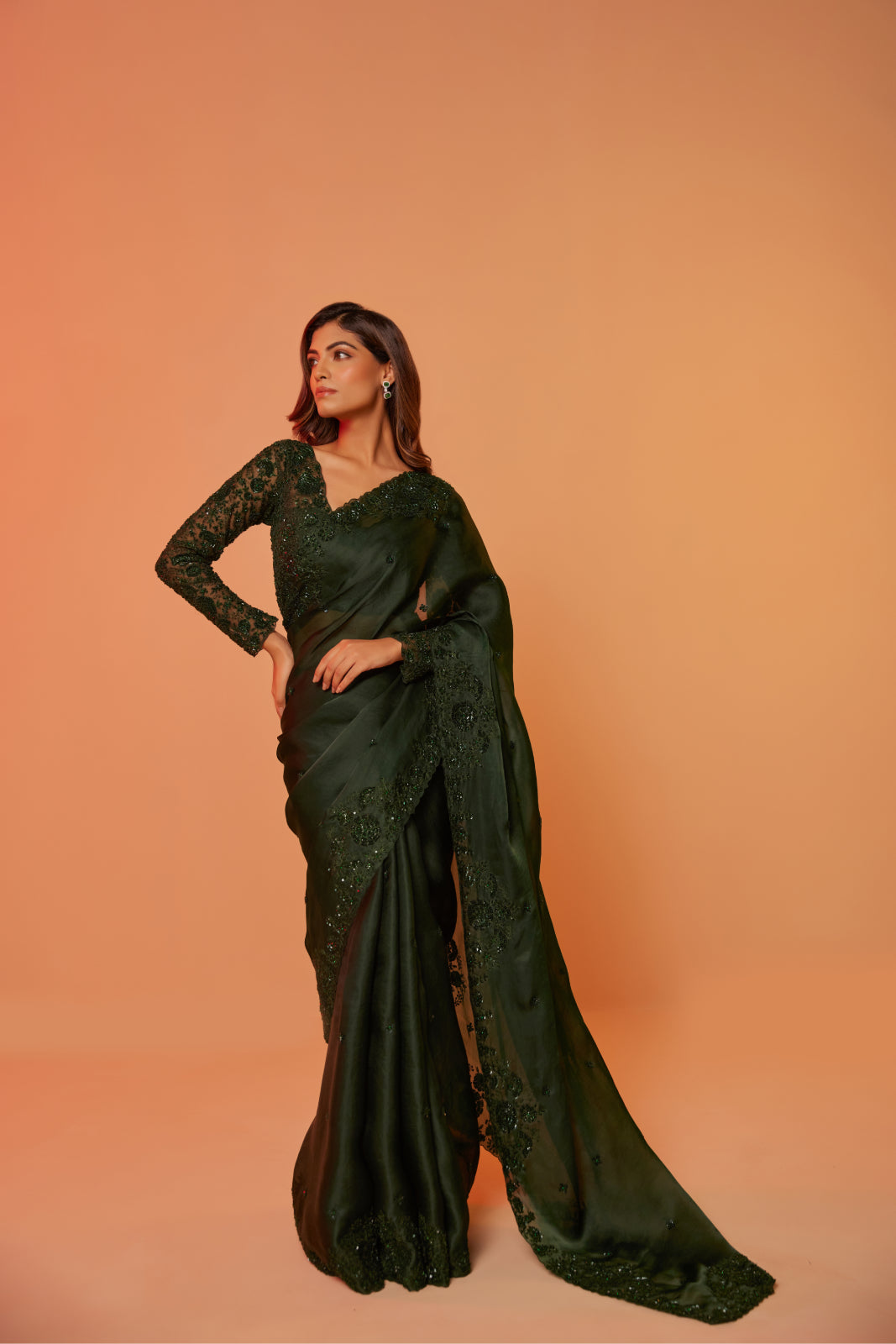 Green silk organza cutdana embroidered Saree with full sleeve blouse