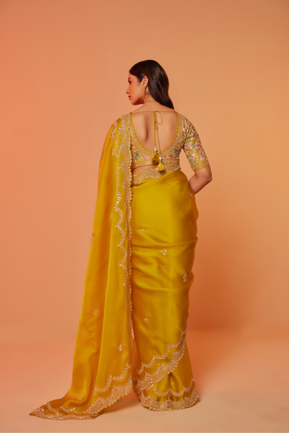 Yellow silk organza embroidered Saree with elbow sleeve multi-color thread blouse