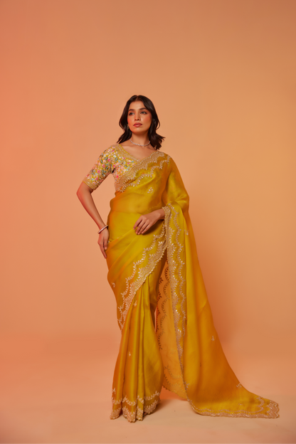 Yellow silk organza embroidered Saree with elbow sleeve multi-color thread blouse