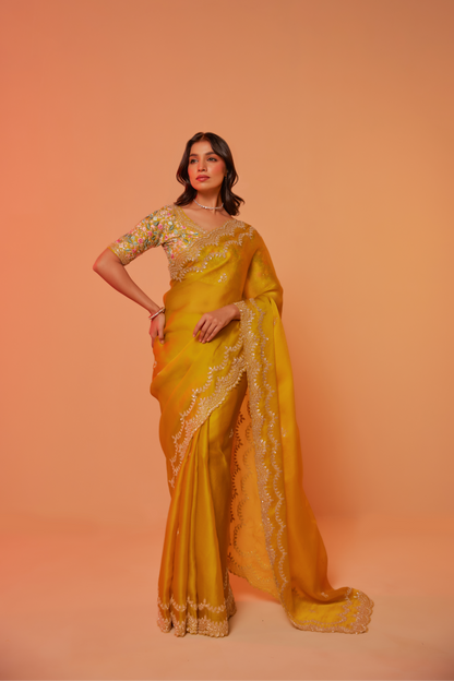 Yellow silk organza embroidered Saree with elbow sleeve multi-color thread blouse