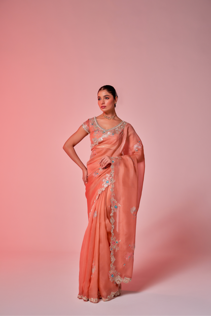 Salmon peach silk organza embroidered Saree with multi-color short sleeve blouse