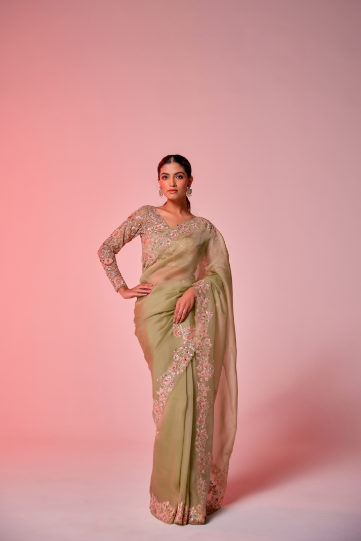 Pista green silk organza multi-color embroidered Saree with full sleeve blouse