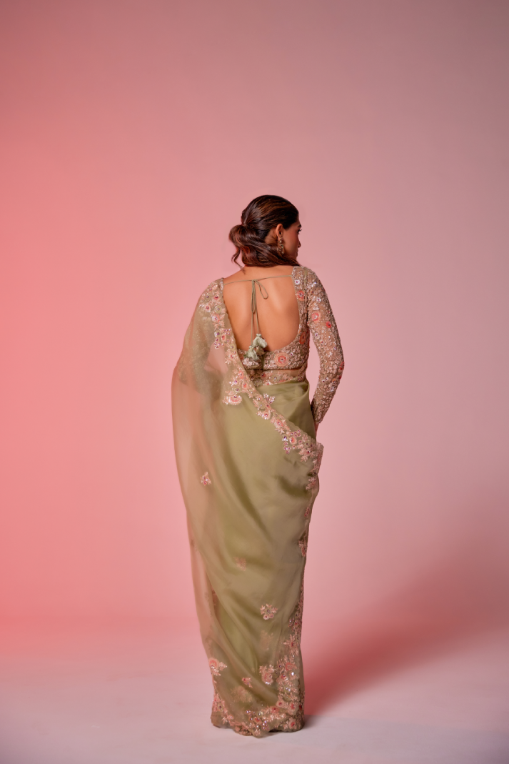 Pista green silk organza multi-color embroidered Saree with full sleeve blouse